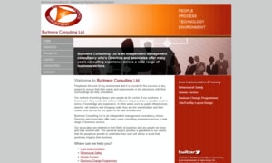 Burlmere Consulting Ltd. website image